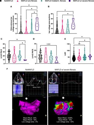 High liver fibrosis scores in metabolic dysfunction-associated fatty liver disease patients are associated with adverse atrial remodeling and atrial fibrillation recurrence following catheter ablation